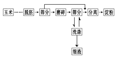 簡化后的玉米淀粉生產(chǎn)流程原理圖